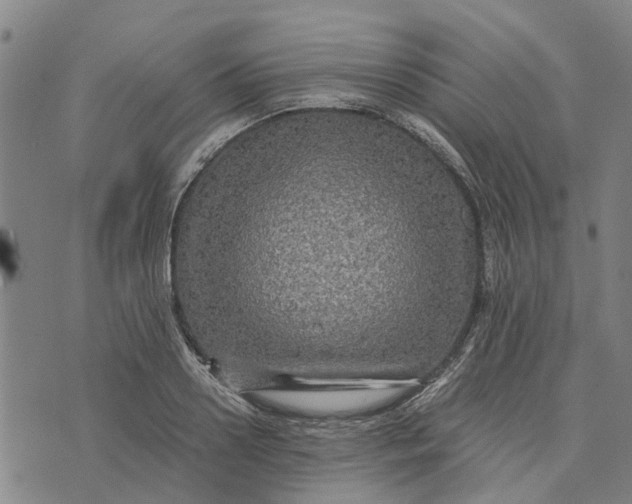 X0000076350938200610161755