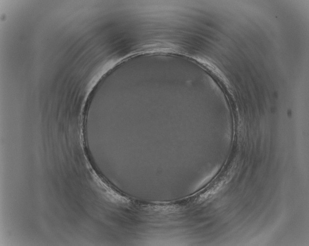 X0000076350941200610161755