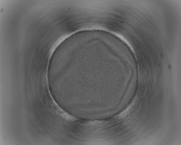 X0000076350943200610161755