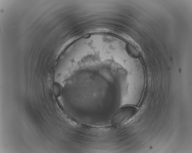 X0000076350945200610161755