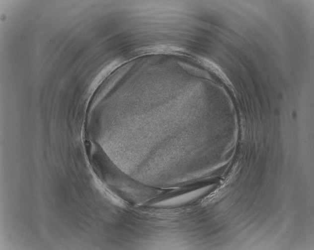 X0000076350946200610161755