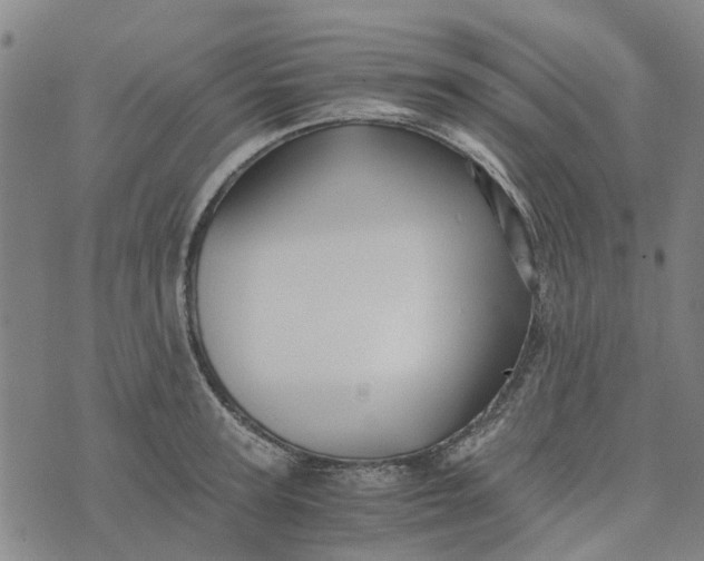 X0000076350947200610161755