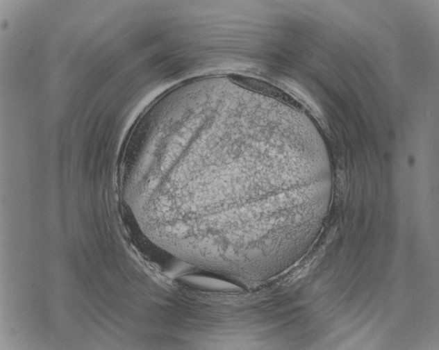 X0000076350948200610161755