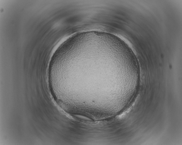 X0000076350949200610161755