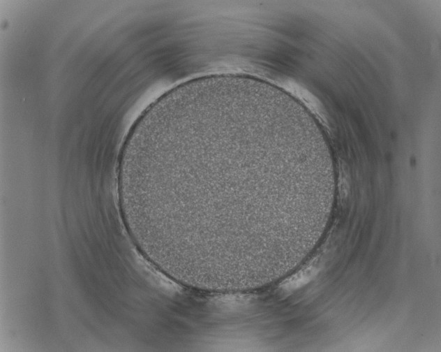 X0000076350950200610161755