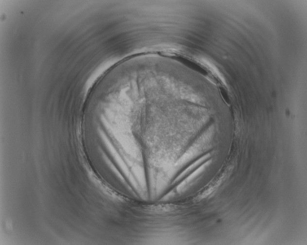 X0000076350952200610161755