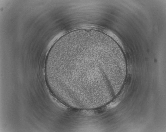 X0000076350954200610161755