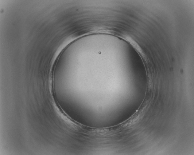 X0000076350955200610161755