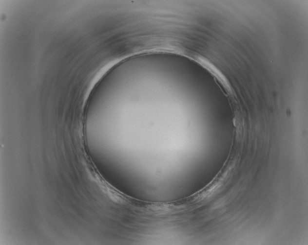 X0000076350956200610161755