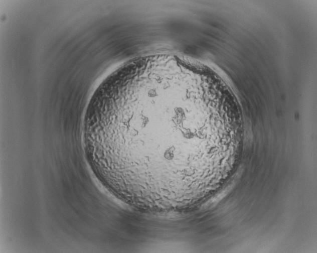 X0000076350957200610161755