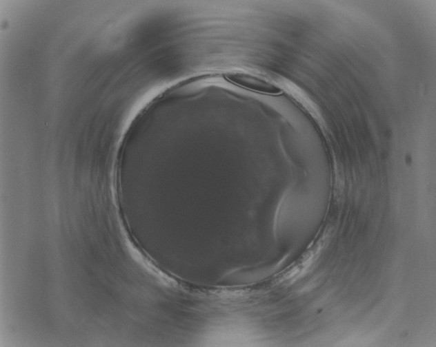 X0000076350958200610161755