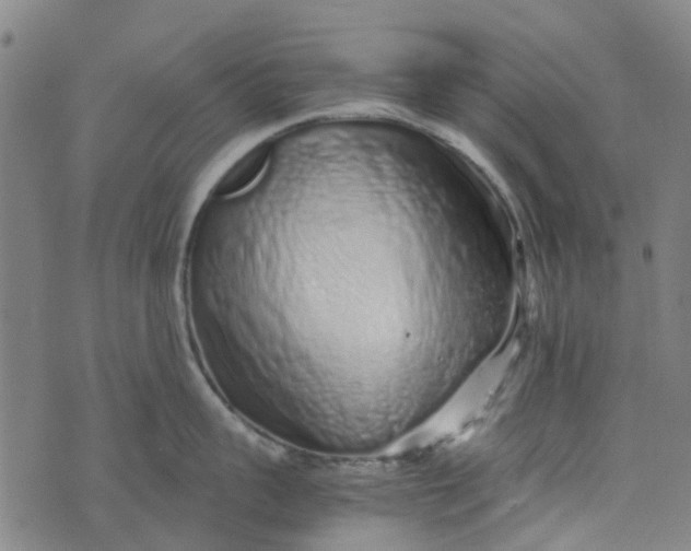 X0000076350959200610161755