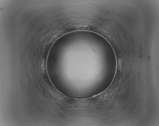 X0000076350963200610161755