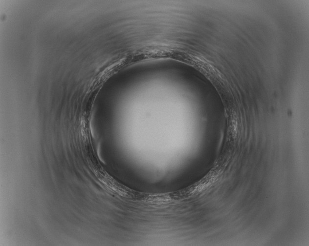 X0000076350964200610161755