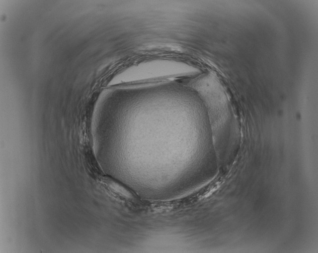 X0000076350965200610161755