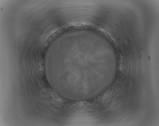 X0000076350966200610161755