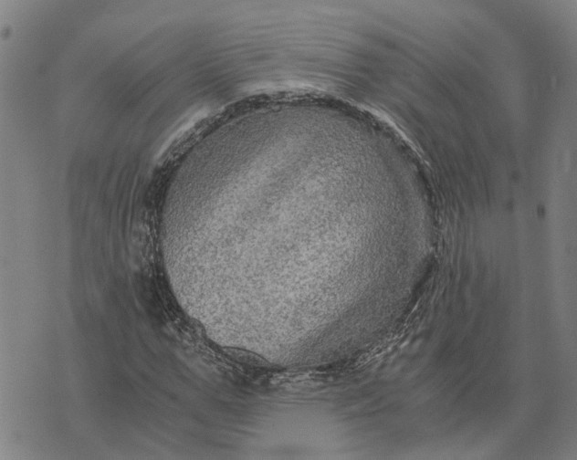 X0000076350967200610161755