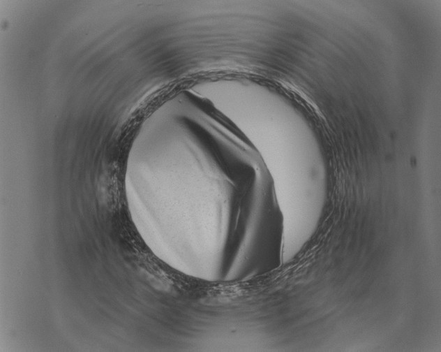 X0000076350968200610161755