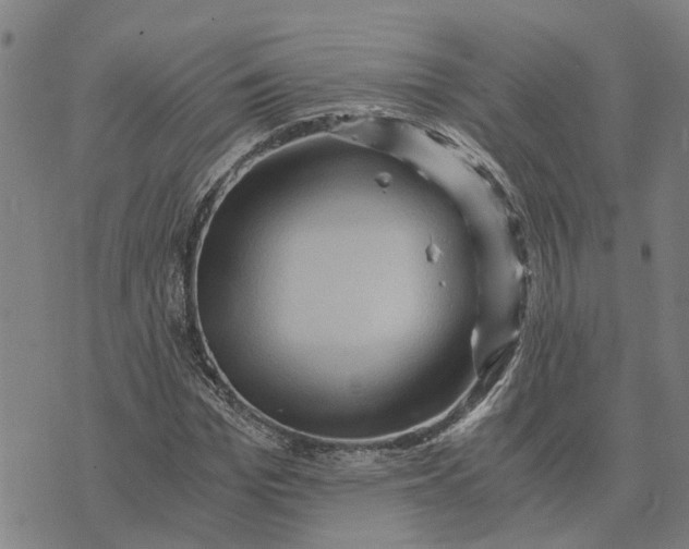 X0000076350969200610161755