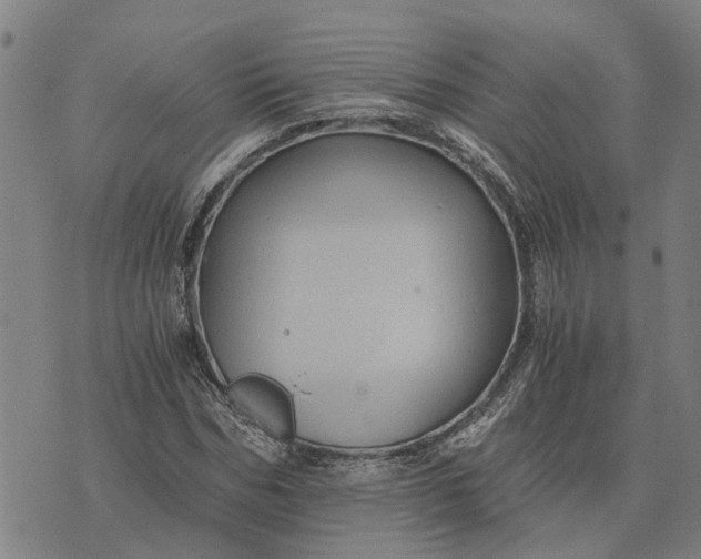 X0000076350970200610161755