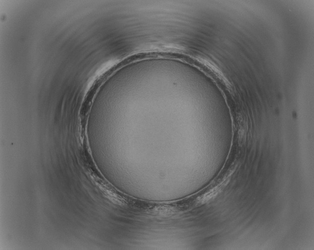 X0000076350974200610161754