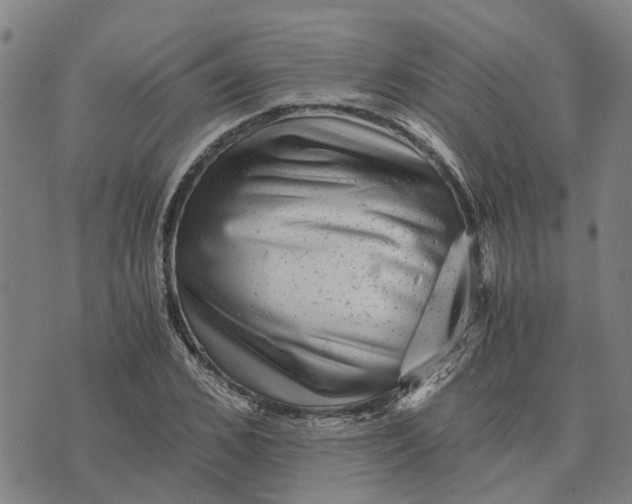 X0000076350976200610161754