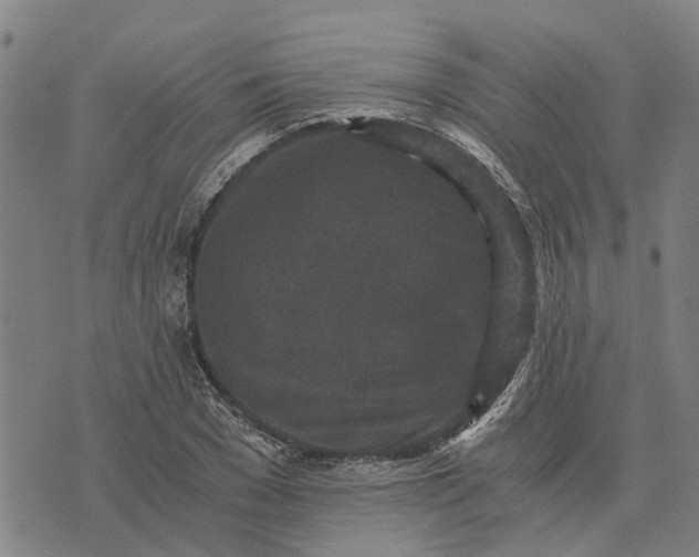 X0000076350977200610161754