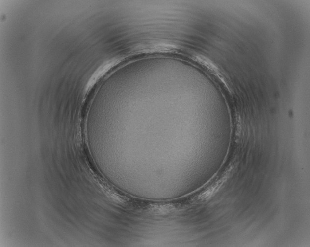 X0000076350978200610161754