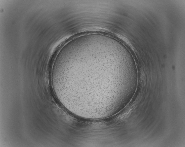 X0000076350979200610161754