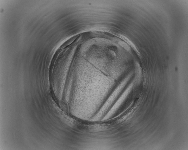 X0000076350980200610161754