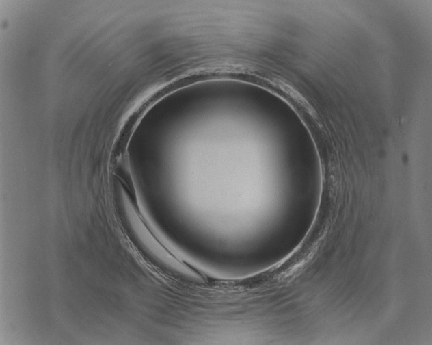 X0000076350981200610161754