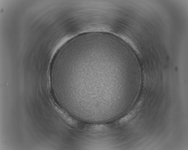 X0000076350982200610161754