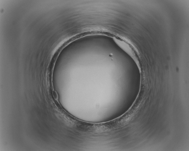 X0000076350983200610161754