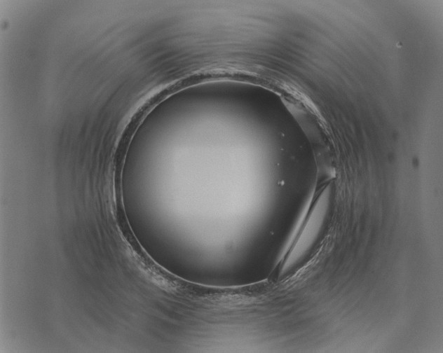 X0000076350984200610161754