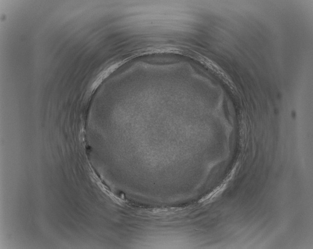 X0000076350985200610161754