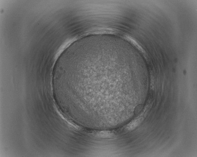 X0000076350986200610161754