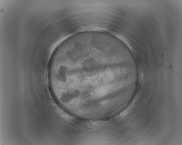 X0000076350987200610161754