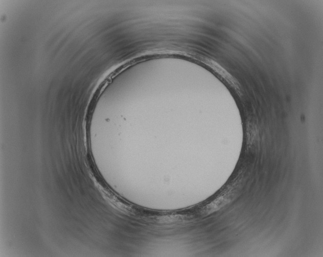 X0000076350988200610161754