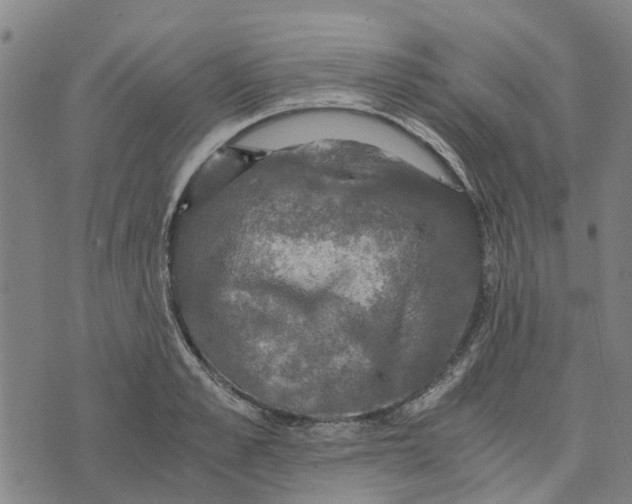 X0000076350989200610161754