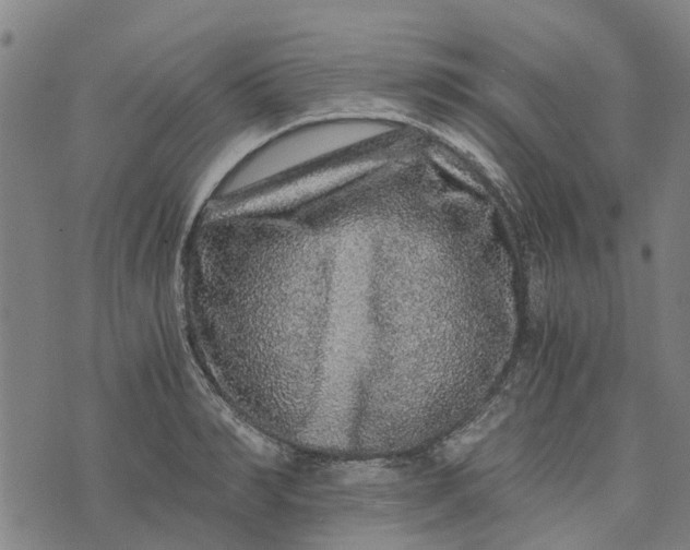 X0000076350990200610161754