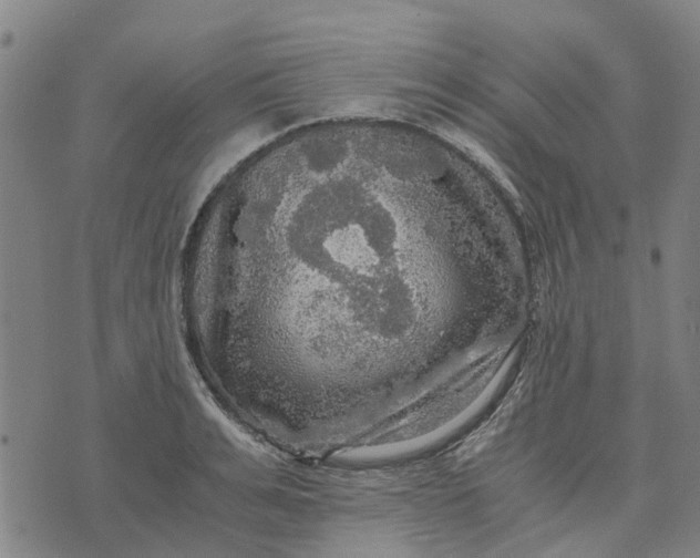 X0000076350991200610161754