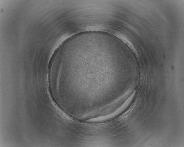 X0000076350992200610161754