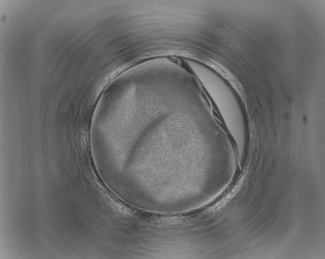 X0000076350993200610161754