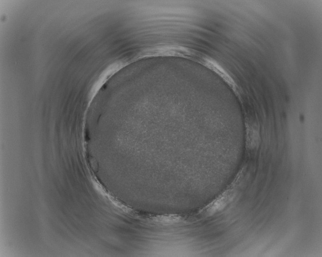 X0000076350994200610161754