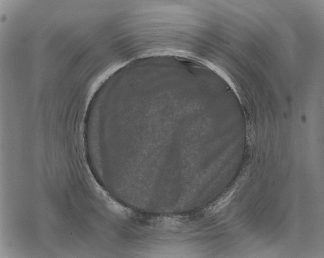 X0000076350995200610161754