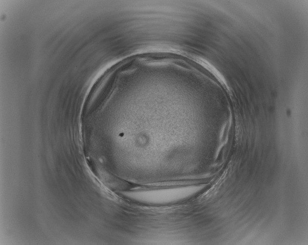 X0000076350996200610161754