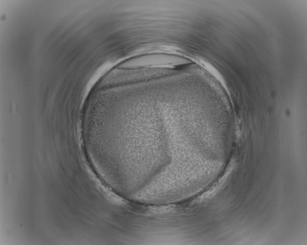 X0000076350997200610161754