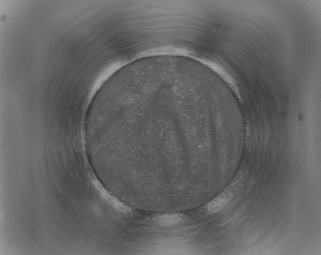 X0000076350998200610161754