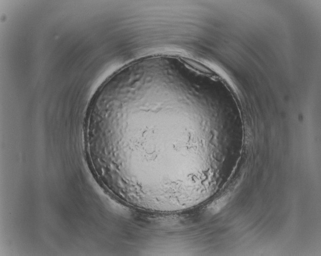 X0000076350999200610161754