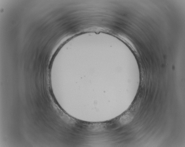 X0000076351000200610161754